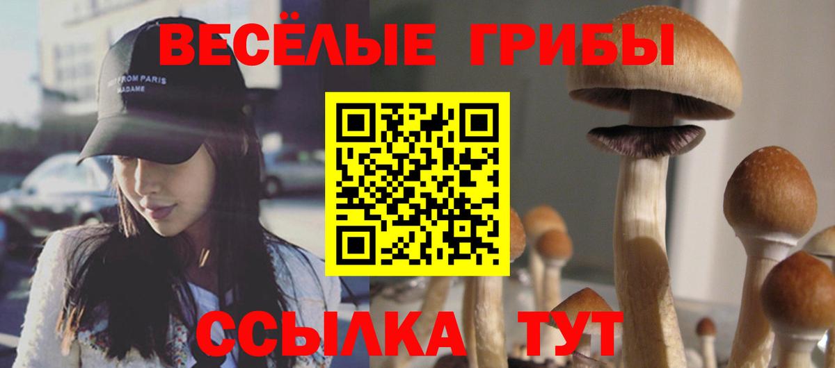 Галлюциногенные грибы ЛСД  Вход с VPN  Горячий Ключ 